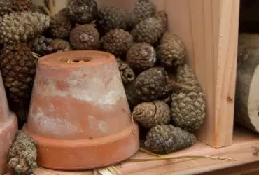 Aider-les-animaux-en-hiver