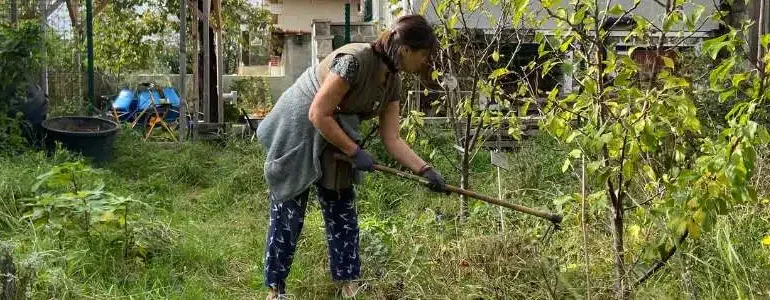 Des mini forêts nourricières en ville