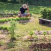 Permaculture