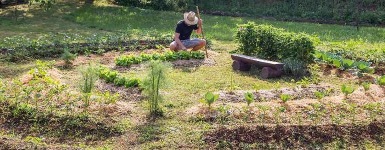 Une philosophie durable : la permaculture ?