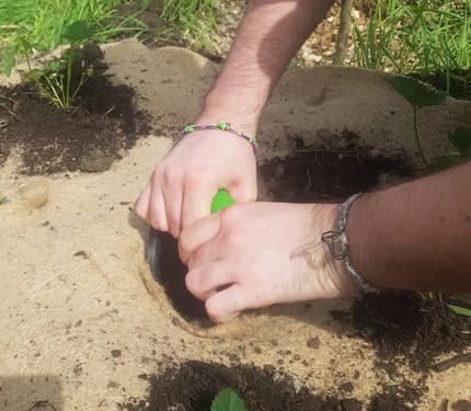atelier permaculture forêt-jardin BE