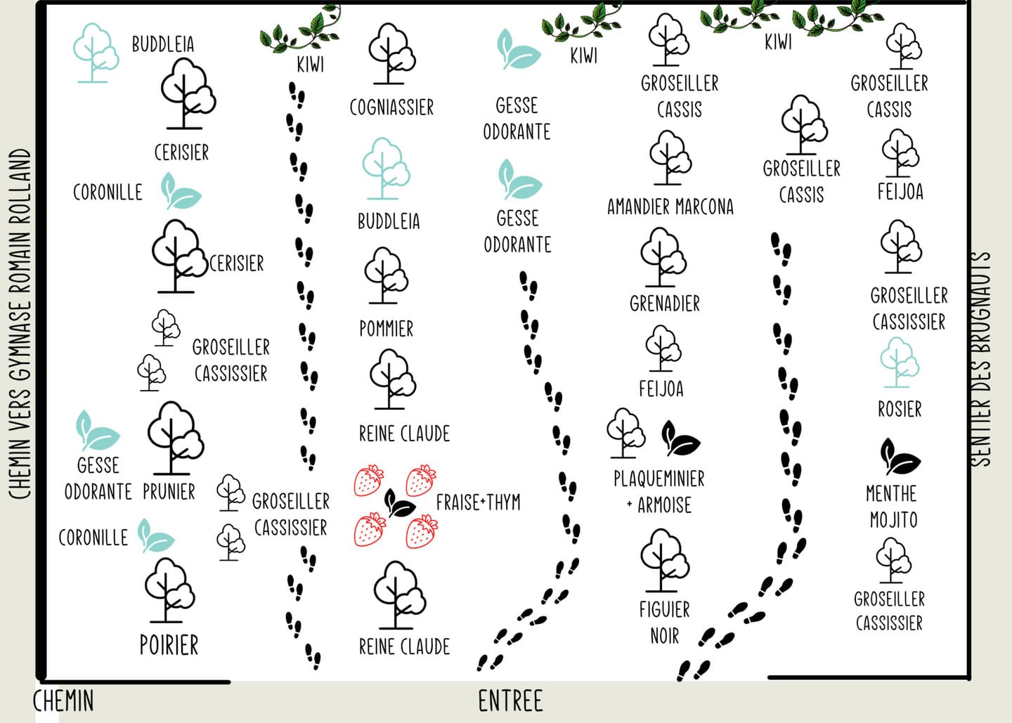 plan de la forêt-jardin