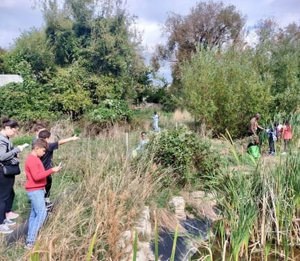 écosystème friche des trois mares