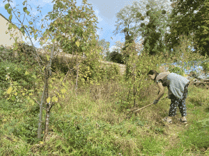 La forêt-jardin avec Tatjana qui y jardine.