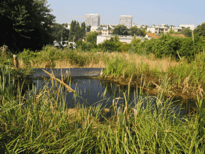 La friche des trois mares vue depuis une des mares