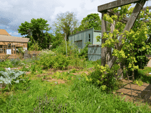 Le Tiers-Lieu de la Lisette vue depuis le jardin de l'Agrocité