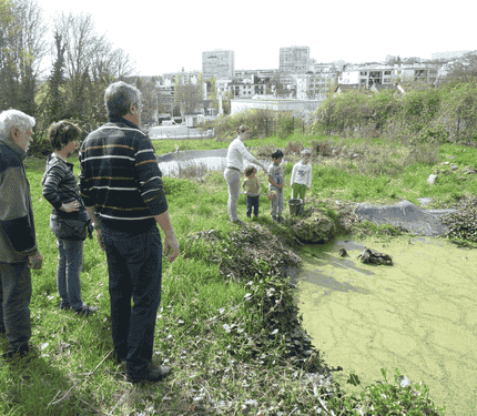 Première visite sur la friche des 3 mares