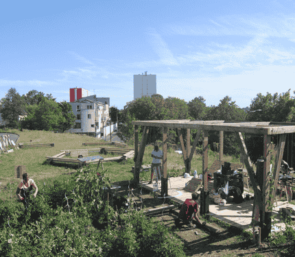 construction de la pergola